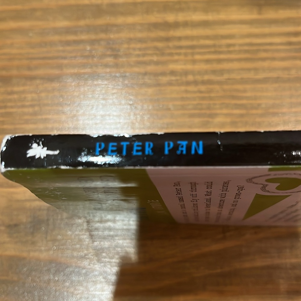 Peter Pan Chapter Book - Picture 3 of 6